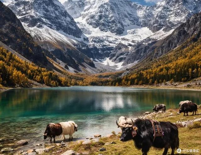 反向出游时间表！国内12类目的地的最佳错峰月历，人少看最美风景