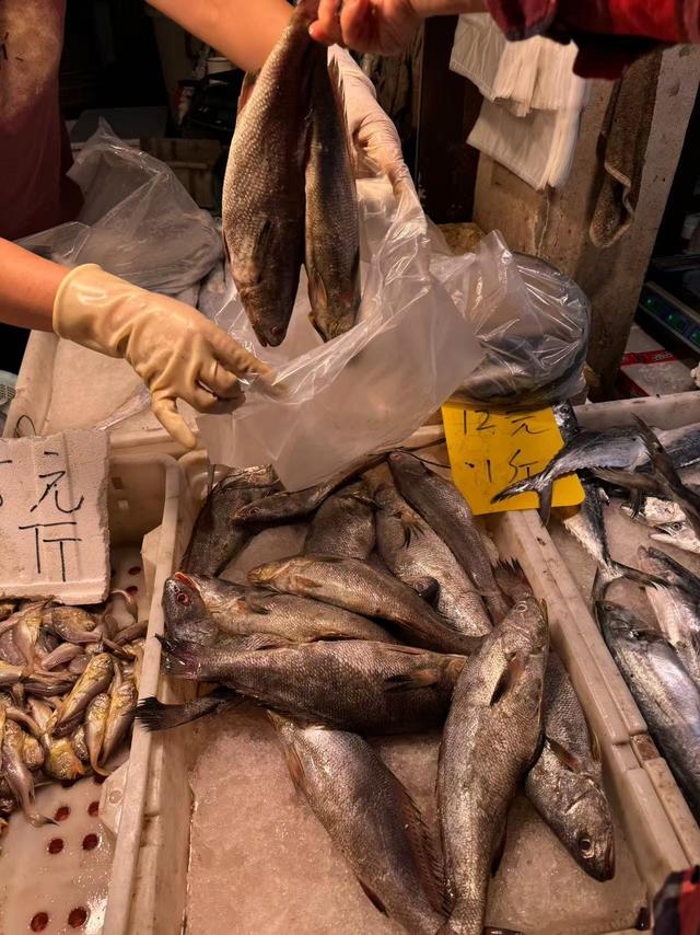 冷冻花胶多少钱一斤 2026年冷冻花胶多少钱一斤合适