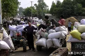 农村以前交公粮和缴提留到底算什么图片