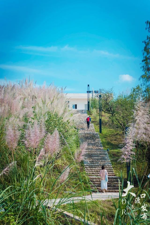 不用跑远，大渡口这个公园每一处都出大片🤩