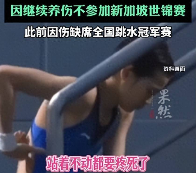 不查不知道，一查才发现！原来全红婵的复出，是国家队下的一盘棋