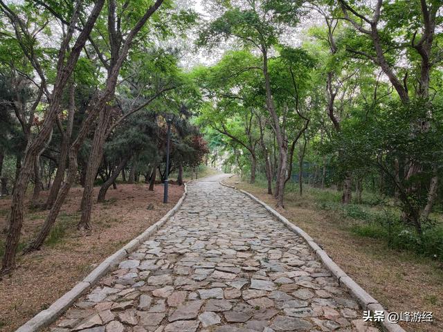傍晚爬威海塔山，取景器俯瞰山海风光，山脚寻到另一座文笔峰宝塔