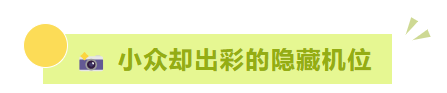 美上热搜！呼和浩特晚霞惊艳登场🤳