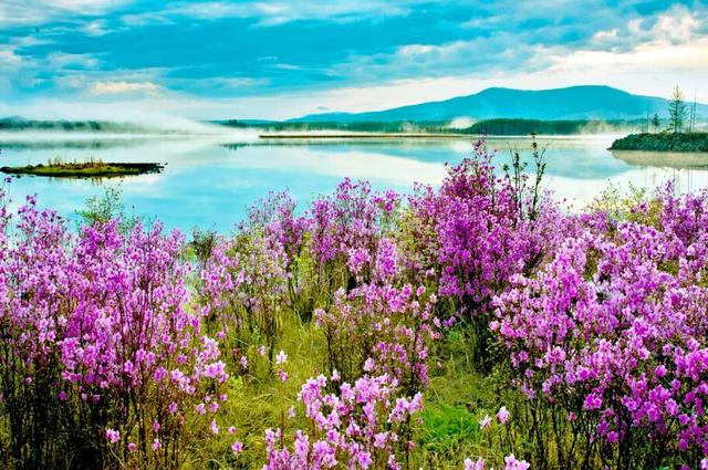 还没结束的花事，槽点太多了！
