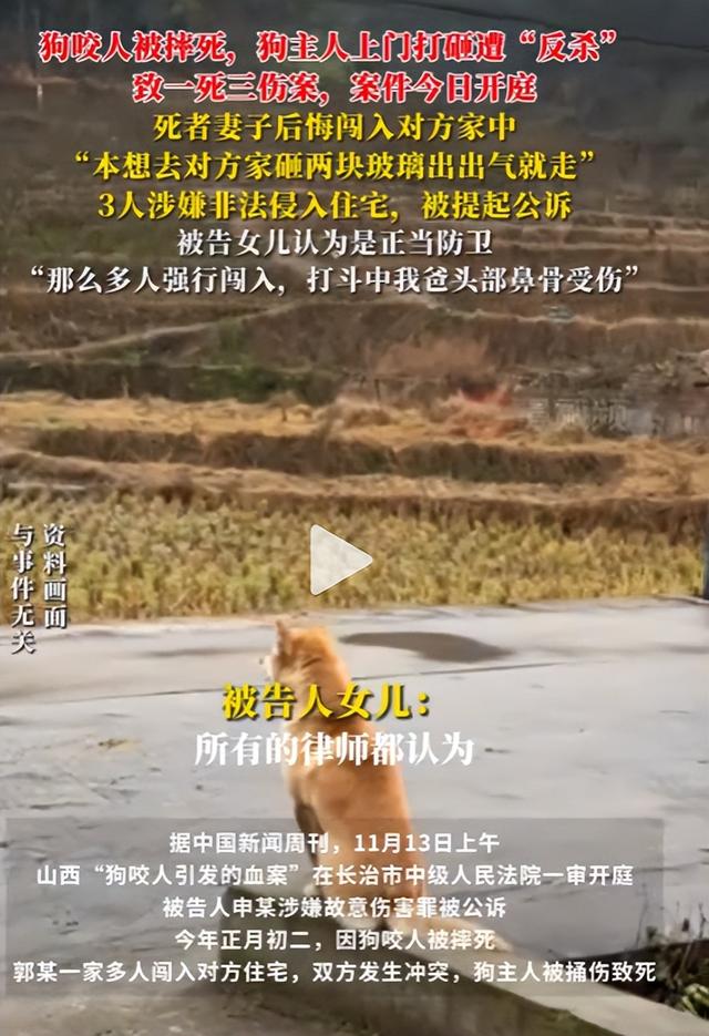 狗咬人反杀案越扒越深，曝死者妻子吞他人装修钱，惨案也与她有关