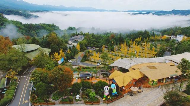 免票！成都及周边多个景区最新免费活动来啦！