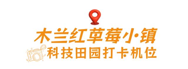 🤩收藏！春节拍大片，就来黄陂『下集』