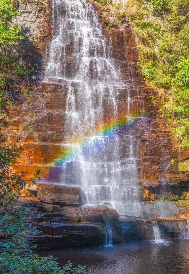 一半是安逸养老，一半是熬夜天堂！这座城冬天有鲜花，凌晨有人潮