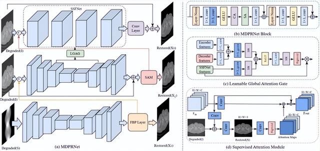 一周前沿科技盘点丨SEI膜“无机化”助力锂电池快充；有机肥提升黑土质量的关键机制