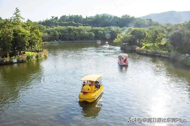 国庆中秋双节同庆，东莞主要自然公园迎客93.99万人次