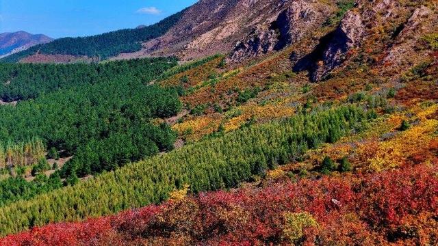 走进赤峰马鞍山林场 邂逅绚烂山林秋色