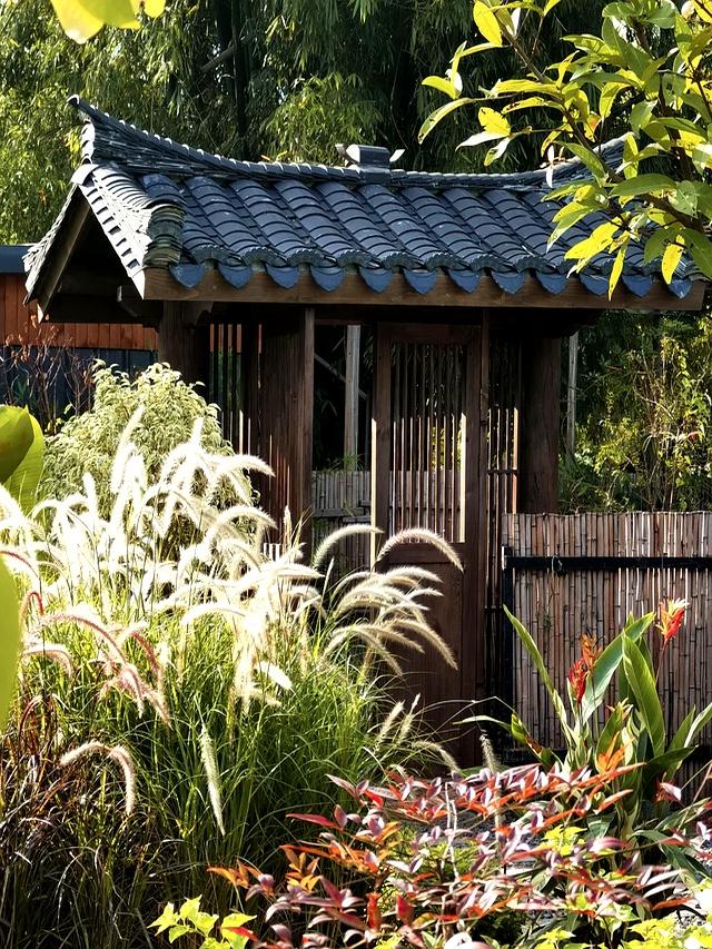 人到中年，有个院子就是福！