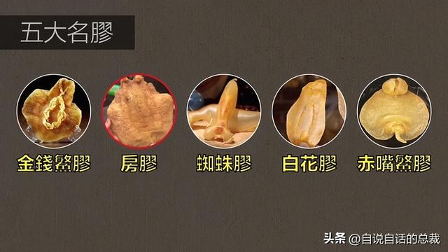 二十年的老鱼胶 2026年30年老鱼胶