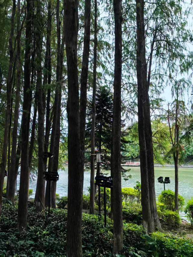 桂林：最是初冬晴午后！