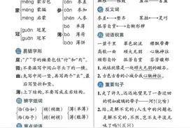 六年级语文上册24秋小学学霸单元期末标准卷考前必背知识手册图片