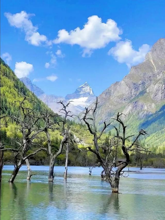 四川旅游必去的十大宝藏地,个个都是神仙景点!你去过几个?