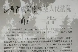 杨凌杨陵2024【死刑布告】图片