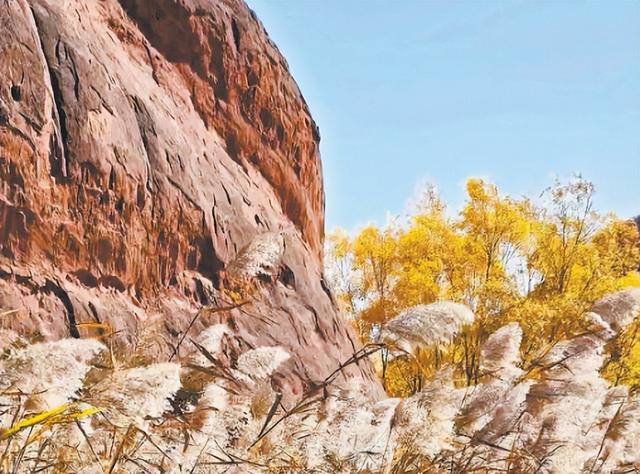 靖边波浪谷：红砂叠浪舞芦花 旷野秋光入画来