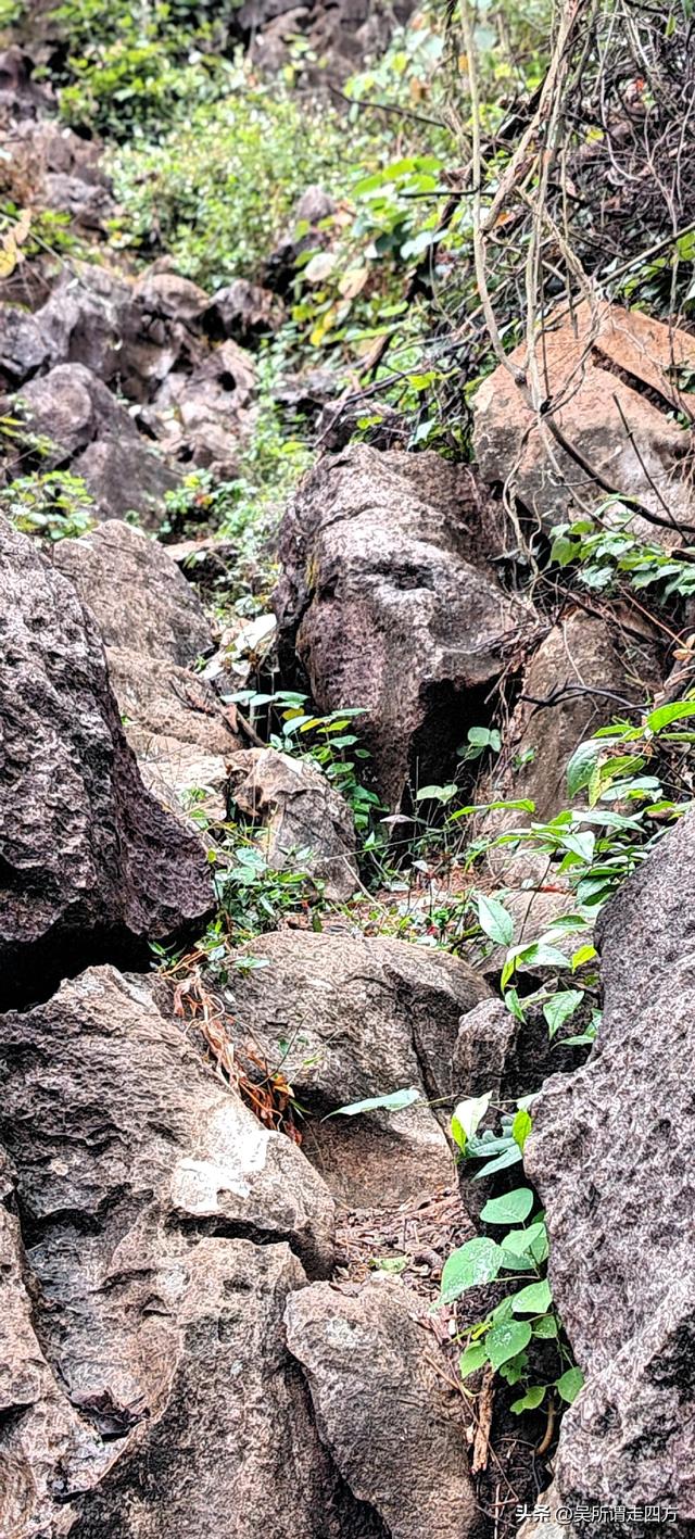 归来看山——龙潭二十四峰探幽录（六）