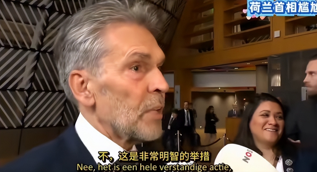 绕开荷兰安世中国或恢复对欧供货？附带三个条件，每个都暗藏深意