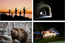 除了夜间观察，夜视仪竟还能用在这方面！图片