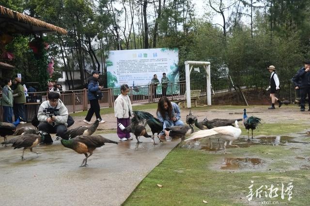 第六届湖南旅游发展大会丨来湘潭，赴一场春天的约会