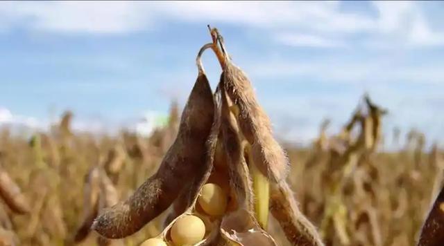 特朗普深夜发文，宣布终止谈判，中国已接到通知，美亲密盟友倒戈