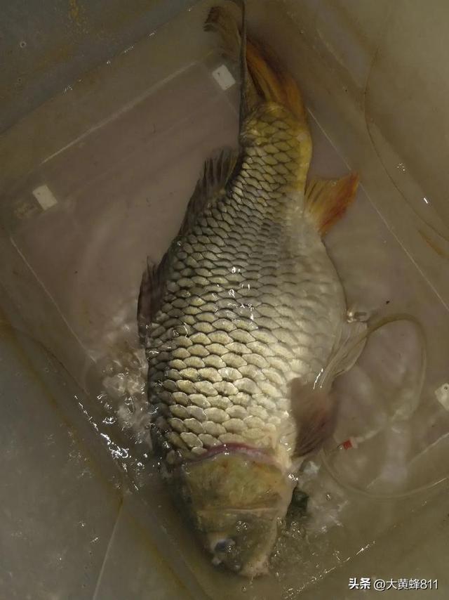 认识大美河南的每个县——第33波：南乐