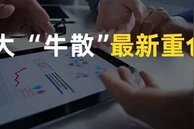 葛卫东、陈发树、章建平、魏巍等十大“牛散”最新重仓股出炉！图片