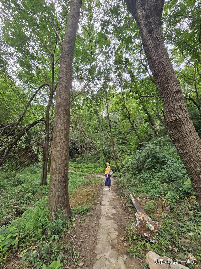 大山深处的路，悠长的，漫长的，斜长的，直长的，无路不长！