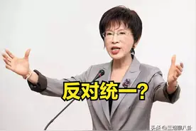 洪秀柱反对统一？看看她这句话说得多么有讲究，网友：现在才懂图片