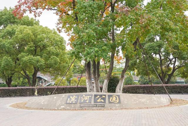 太仓这两条宝藏老街，改造后大变样！