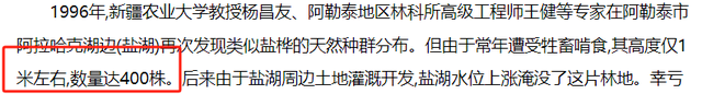 被牛羊啃食导致即将灭绝！1996年，专家在盐湖边发现400棵