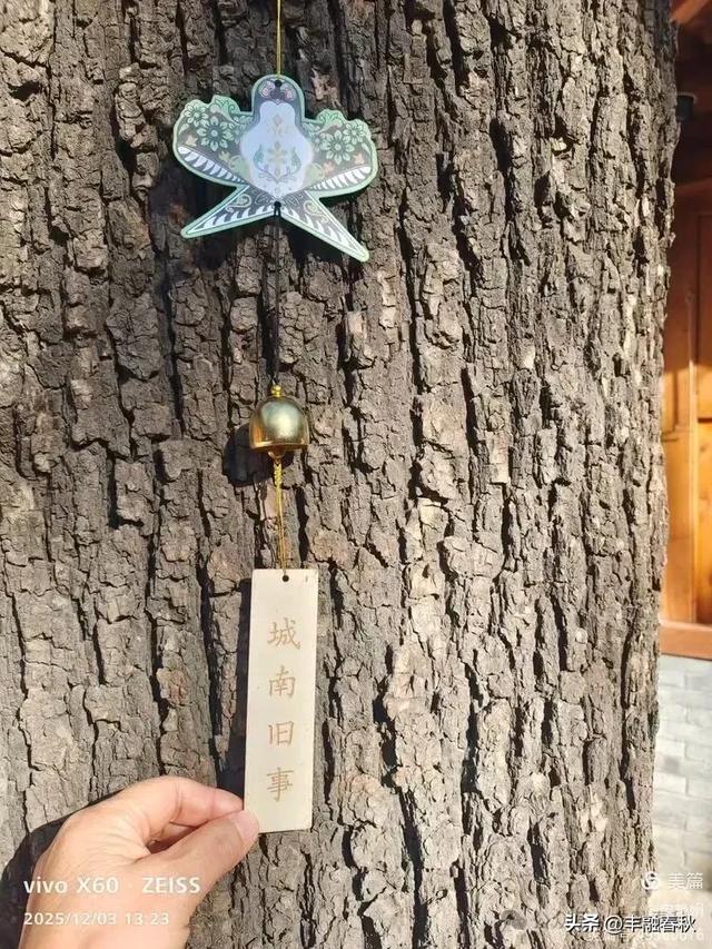 槐影深巷忆城南——参观北京林海音故居|申艳娟