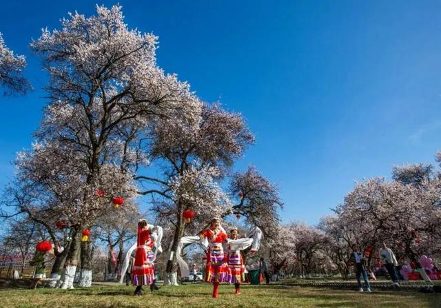 你好，4月！（附杏花攻略）