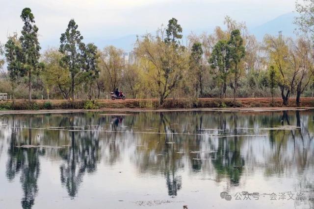 以礼初冬，树染波心山街色 蒋加祥/图