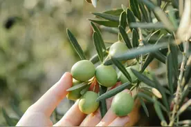 中国最被低估的十大美食，吃过三种算你赢！图片