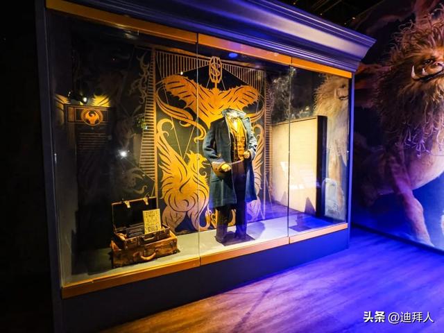 20年“老哈迷”亲测阿布扎比「哈利波特体验馆」！全程高能！