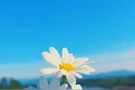 这5篇文章，推荐给中学生读读，一定获益匪浅图片