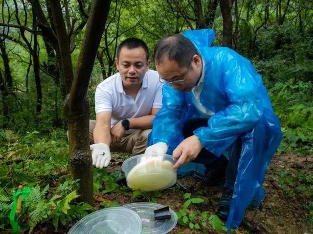 野外仅存600多只！浙江4人徒手抓26只，价值10多万