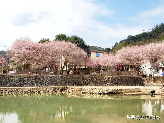 土楼拾光③:梅林古镇(2025.2.11 漳州·南靖)