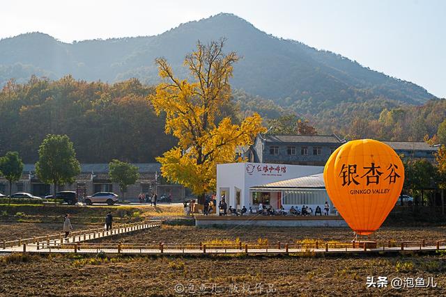 一份攻略解锁礼乐随州｜从编钟之乡到炎帝故里，叩问「何以中国」