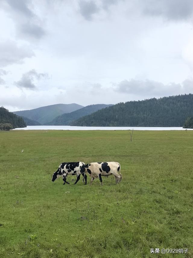 海拔3300米高度，面对矿泉水泡浮囊的羊皮鞋，不得不说的高反问题