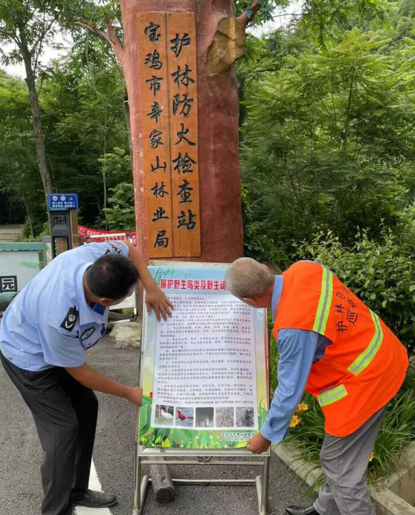 罕见！3只野生黑熊“全家出游”，太白山景区：切勿投喂或挑逗