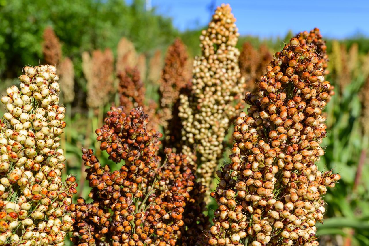 图片关键词 图片关键词