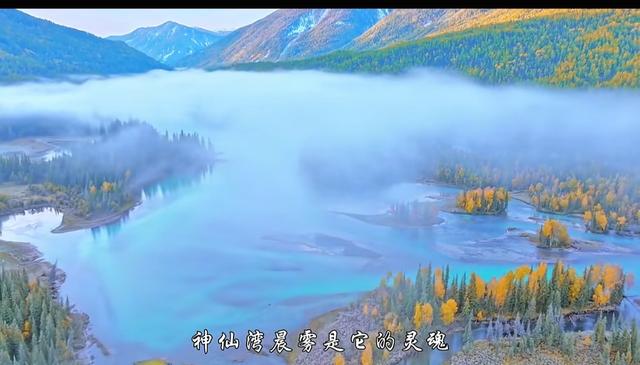 喀纳斯才是秋景顶配！入秋过后的这里，藏着全年最浓的色彩暴击
