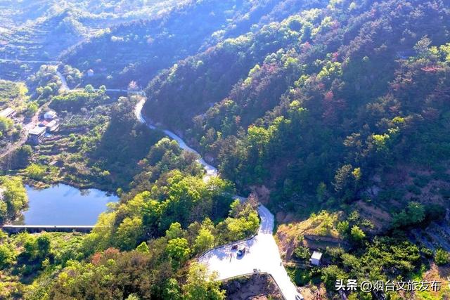 【乐游烟台】来烟台海阳樱桃谷！摘樱桃、听村歌，邂逅最美初夏田园！