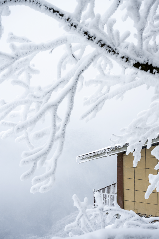 接下来的光雾山，四川人必游！耍雪、赏雪，一次性拿捏多重快乐～