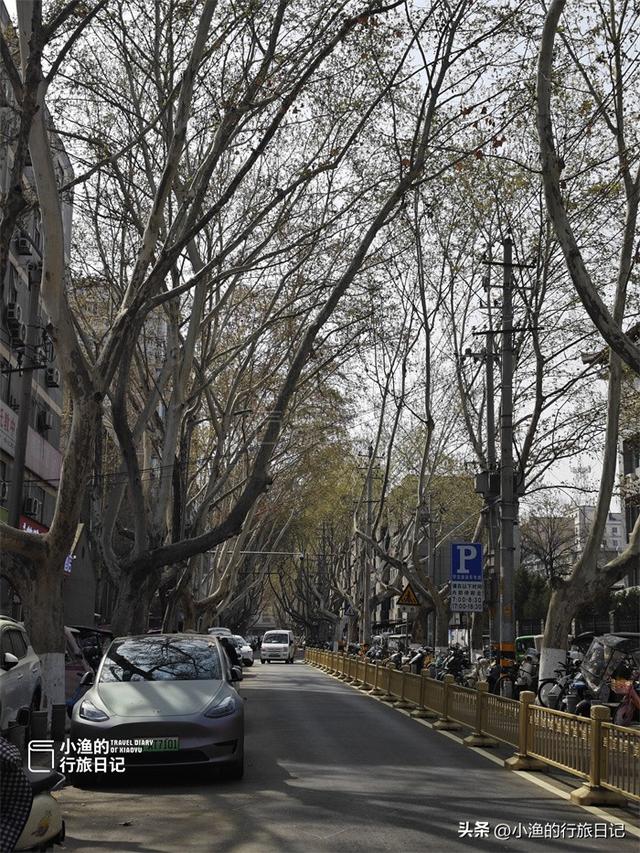 走街串巷逛西安，这条700米的老街，藏着宫墙旧梦与人间烟火