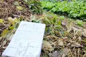 2025宅基地确权收尾！“一户一宅”严查，但这5种多宅合法，超标了也有招图片